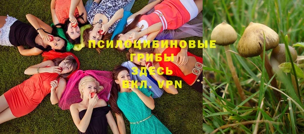 ALPHA-PVP Медногорск