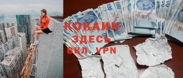 мяу мяу мука Инта